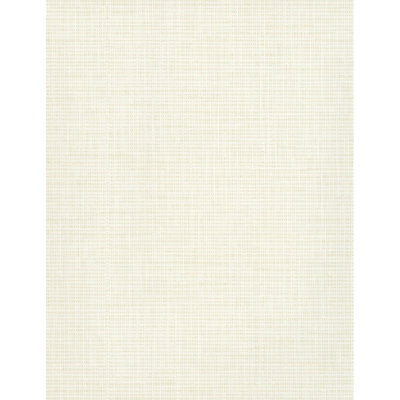 TD1050N White/Off Whites Hessian Weave Wallpaper Per Bolt